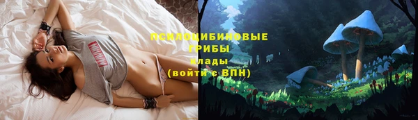 мяу мяу мука Алексеевка