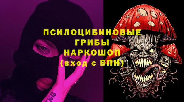 PSILOCYBIN Алексин