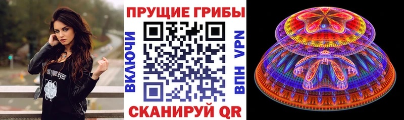 Псилоцибиновые грибы GOLDEN TEACHER  хочу наркоту  Слюдянка 